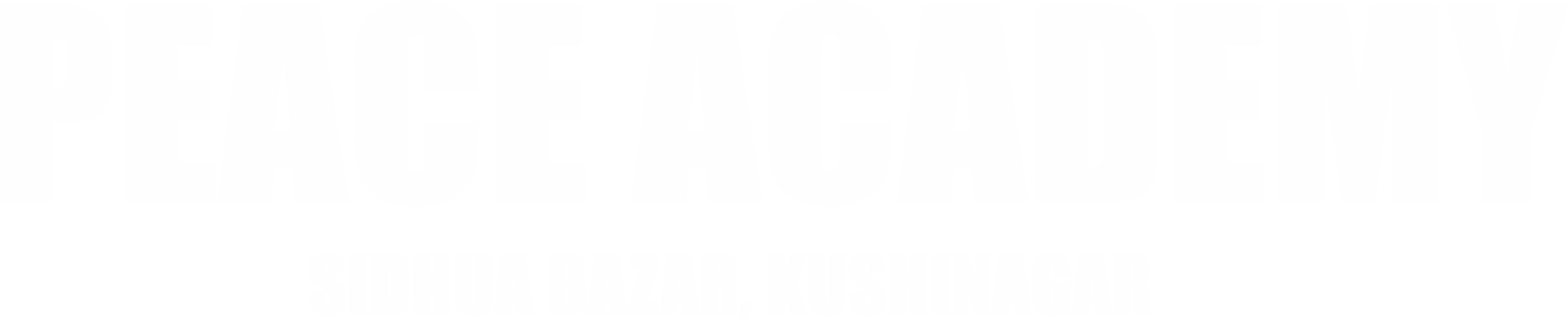 PEACE ACADEMY